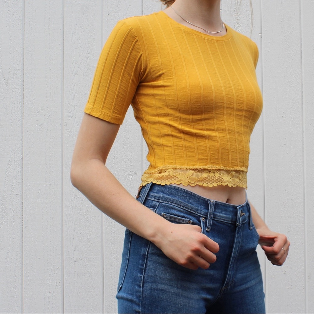 Zara Crop Top